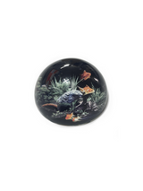Fishbowl Dome Paperweight
