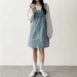 Monthly pocket suspender dress