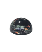 Fishbowl Dome Paperweight