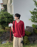 Washable Basic V-neck Knit