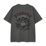 ペガサス ピグメントダイ ショートスリーブ Tシャツ (3color)