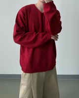 Washable Basic V-neck Knit
