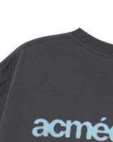 25FW 3D ACベアスタチューオフリバティショートスリーブTシャツ チャコール