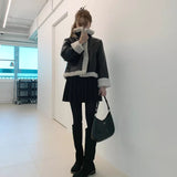 Winter pleats - sk