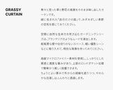 グリーングラッシーカーテン