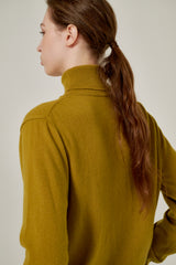 Cashmere turtle neck knit (Black)