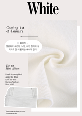 Solid A-line Pants Skirt