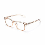 Horn-Trimmed Transparent Glasses Y.LAB 03 C16