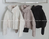 Robs High-Neck Hooded Short Padded Jacket