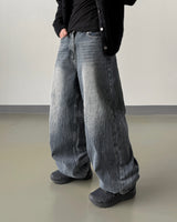 Phil Cat-Washing Crack Wide Denim