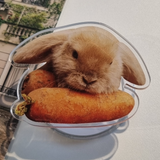 Carrot Baby Rabbit smart tok(sticker type)