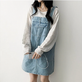 Monthly pocket suspender dress
