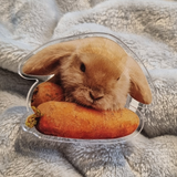 Carrot Baby Rabbit smart tok(sticker type)