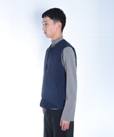 DT VEST