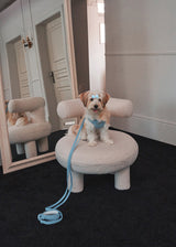 Holiday in paris X type harness (Sky blue)