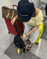 ロールアップハーレムバギーアラジンハーフレングスショーツ