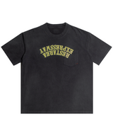 ジェムストーンズリバーズレストエリアウォッシングTシャツ