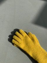 ASCLO Winter Glove (5color) (6645518270582)