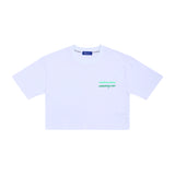 ブランクTシャツ / Blank T-shirts (4550322290806)