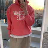 LMN Rio Michigan Oversized Fit Hoodie (5 colors)