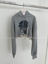 a street cropped hoodie