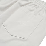ADLV WORLD TOUR PANTS GREY