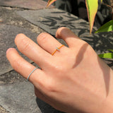 フィッシュリング2 / FISH RING 2 (6color)