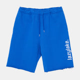 ビッグロゴスウェットショーツ / BIG LOGO SWEAT SHORTS (4559515385974)