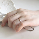 ウィングドリング/[CCNMADE] Winged Ring (5color)