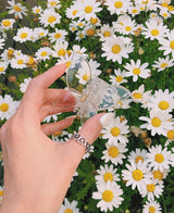 butterfly hair clip (6colors) (6612451524726)