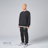 バックロゴクルーネック / Back Logo Crewneck (4562977849462)