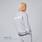 バックロゴクルーネック / Back Logo Crewneck (4562990989430)