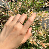 フィッシュリング1 / FISH RING 1 (6color)