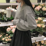 パステルVネッククロップドスウェットシャツ
