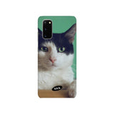 グリーンアイズオブキャットスマホハードケース / Green eyes of cat hard case