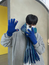 ASCLO Winter Glove (5color) (6645518270582)