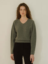 Raccoon v-neck knit (6653803004022)