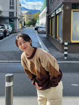 Le Procope pattern knit 