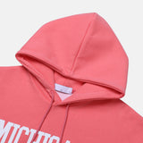 LMN Rio Michigan Oversized Fit Hoodie (5 colors)