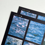 シャイニングウォーター フィルムステッカー / Shining Water Film Sticker