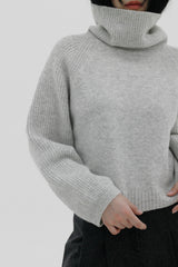タートルレグランニット/Turtle Leglan Knit (4color)