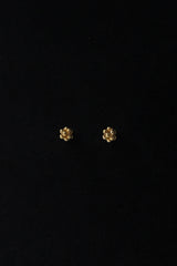 Bead Earrings