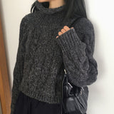 Jirun Twisted Turtleneck Polar Long Sleeve Knit