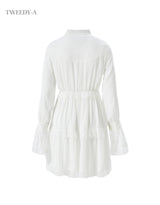Celeste Double Lace Chiffon Dress