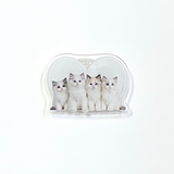 ラブ4キャッツグリップ / love 4 cats griptok