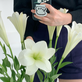 [セット] ブーケシリーズ：ナルシシズムフォンケース + スマホグリップ / [SET] Bouquet series : Narcissism phone case + griptok