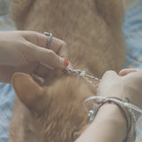 Animal Freedom ANKLET (4color) (6653737599094)