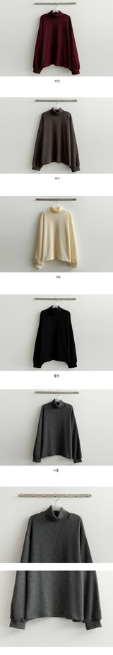Whitty Wanggol Ground Turtleneck Sweatshirt