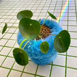 フラフィーポット / FLUFFY POT (M / BLUE)