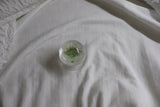 【MADE】 morning dew